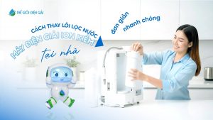 Thay Lõi Máy Ion Kiềm Tại Hà Nội